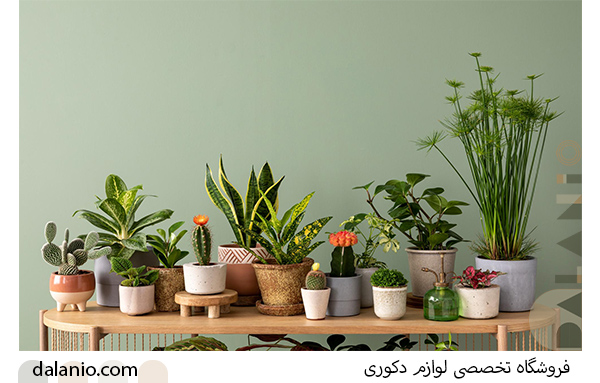 گلدان سرامیکی